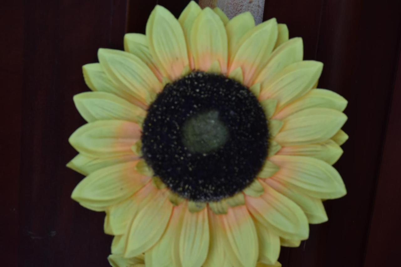 B&B Il Girasole Assemini Extérieur photo